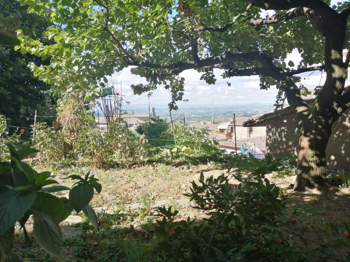 Apartament Orto Di Emma San Gimignano Zewnętrze zdjęcie