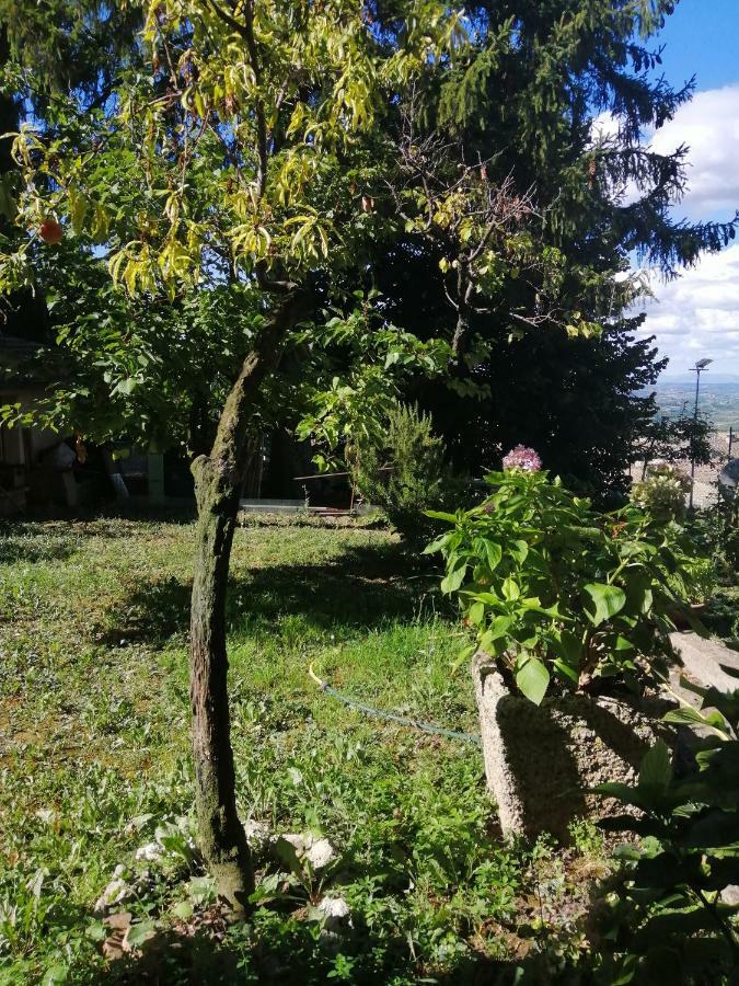 Apartament Orto Di Emma San Gimignano Zewnętrze zdjęcie